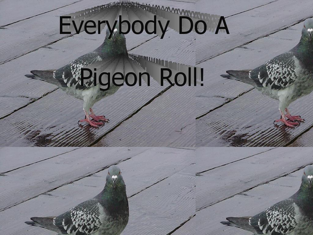 pigeonroll