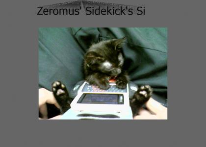 Zeromus's Kitten. (Baron)