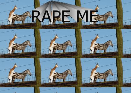 Rape me (animal style)