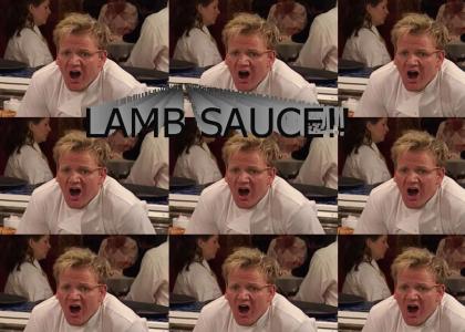 WHERE IS THE LAMB SAUCE?!