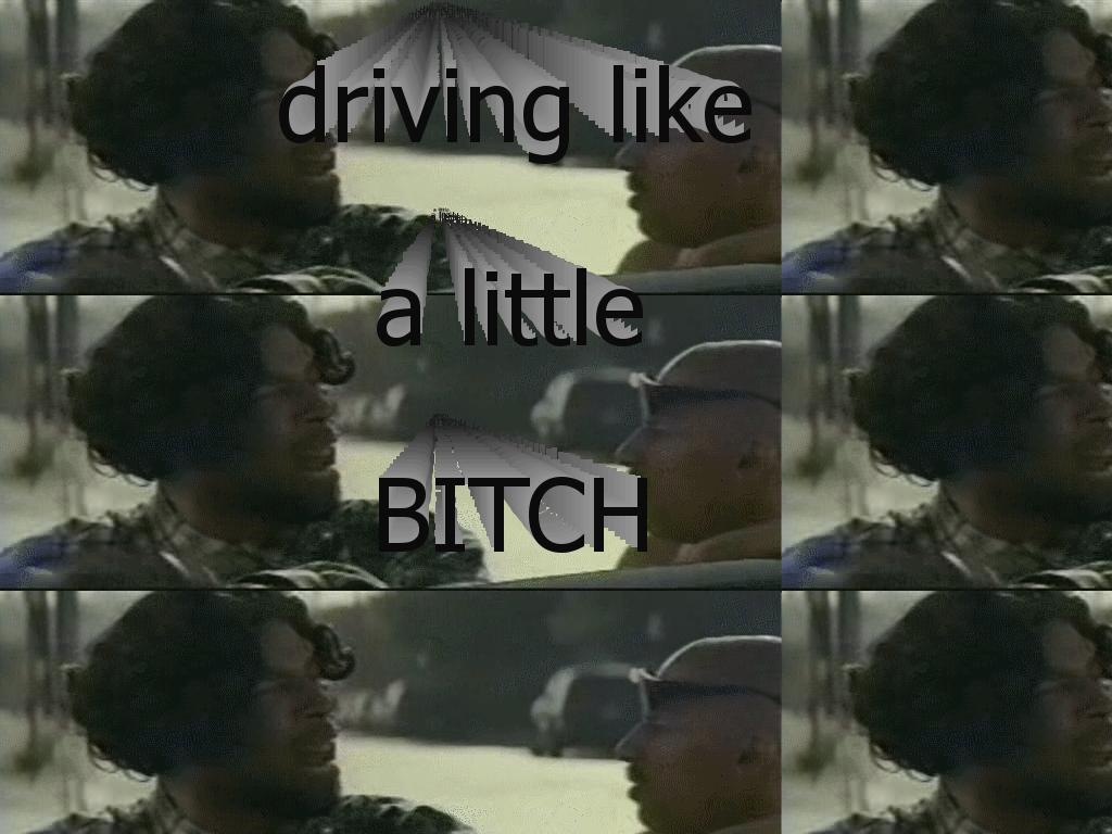 drivebitch