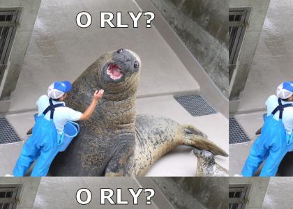 O RLY Seal?