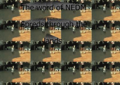 NEDM Cats revolt everywere