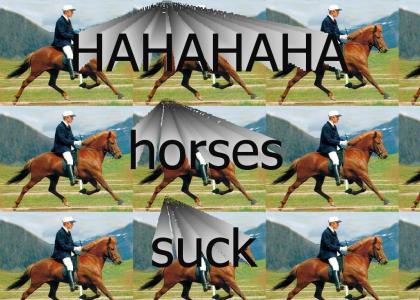 Horses'suck