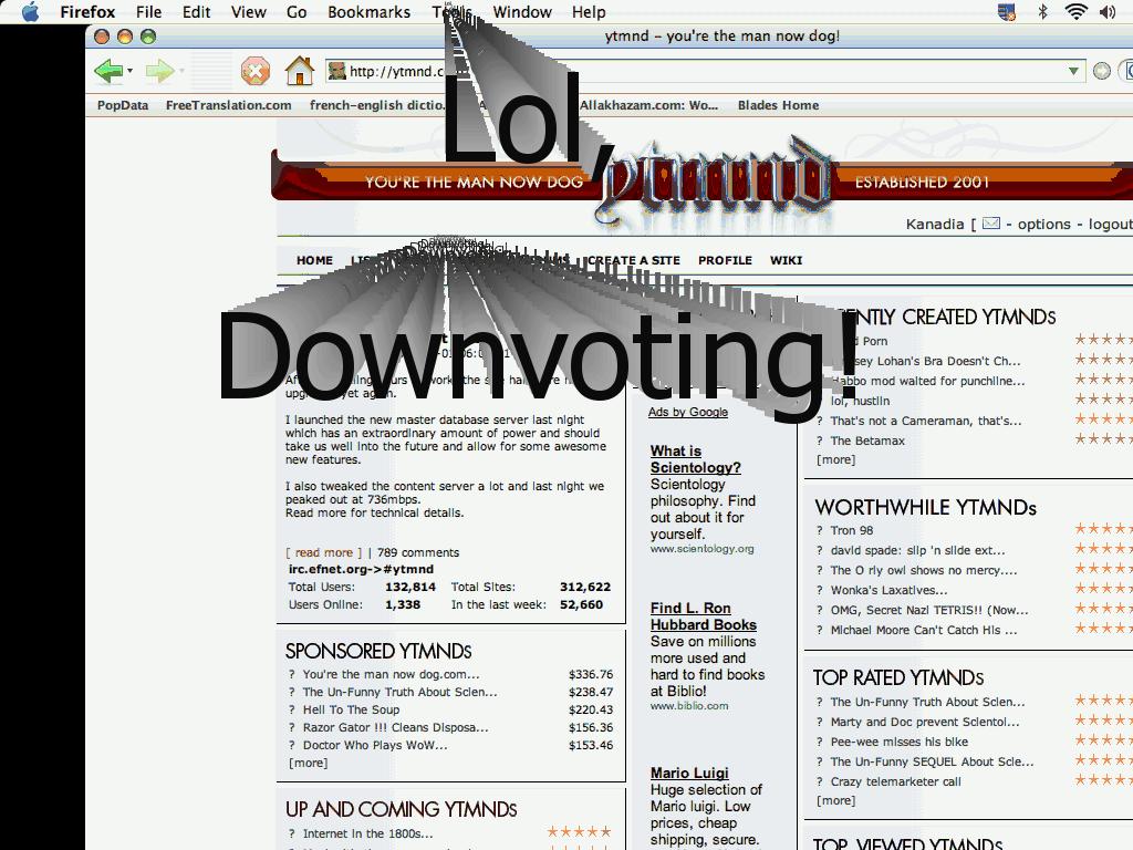 lolatdownvoting