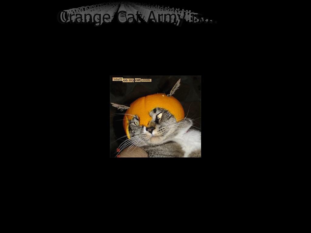 OrangeCatArmy