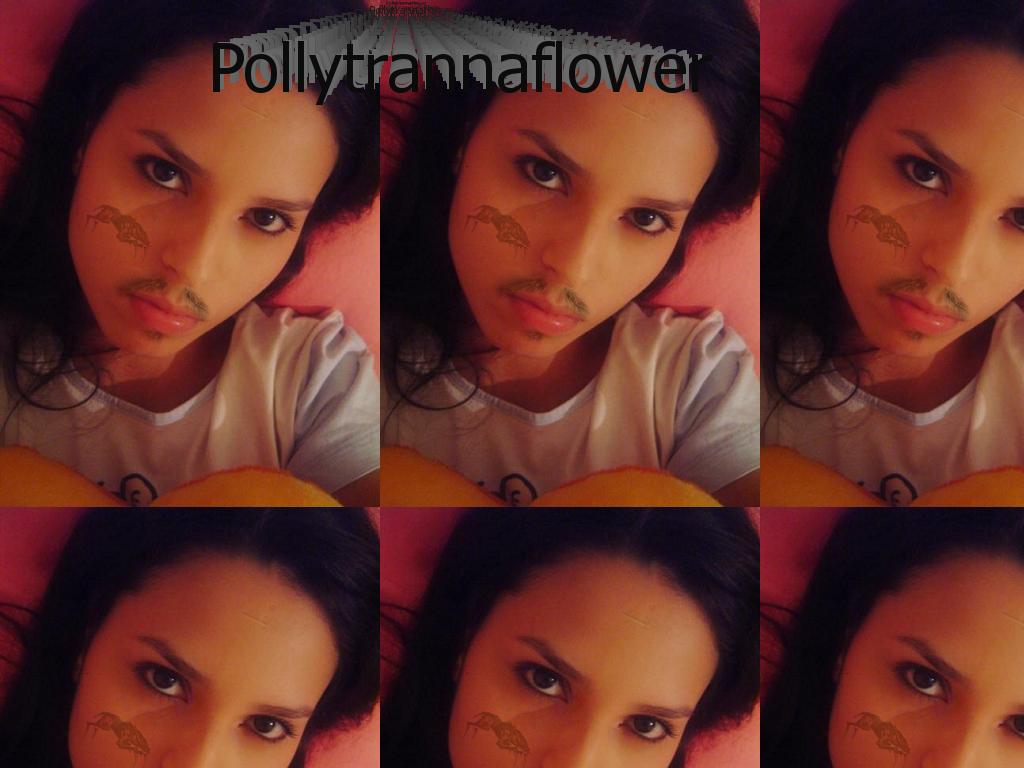 Pollymannaflower