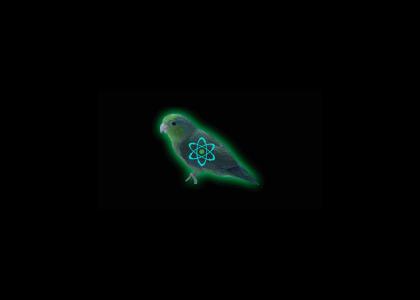 Subatomic Birdicle in YTMND fads