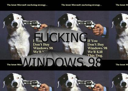 Fuck Windows