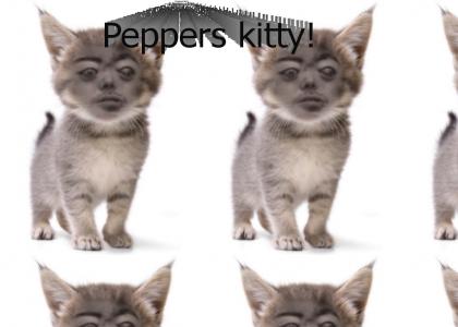 Brian Peppers has a kitten!