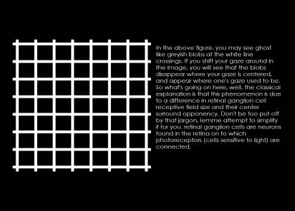 The Hermann Grid Illusion