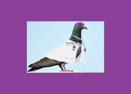 Dr. Pigeon