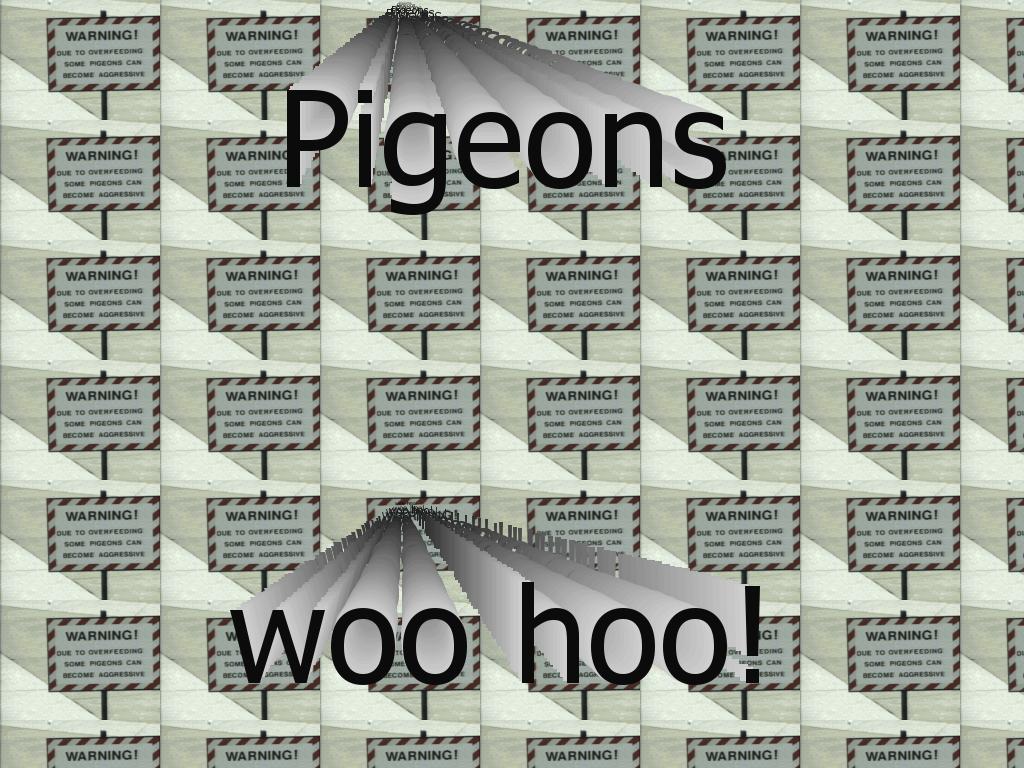 pigeonssss