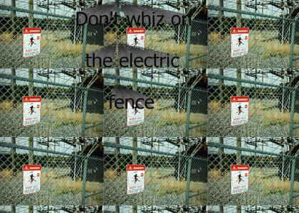 Don't whiz on the electric fence!