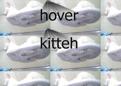 hover kitteh