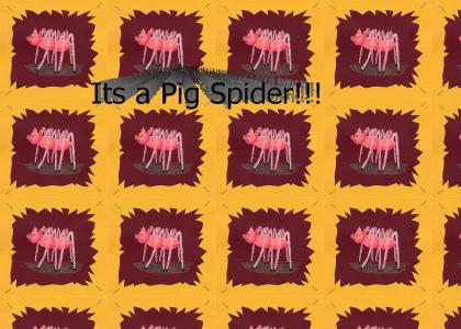 The REAL Spider Pig