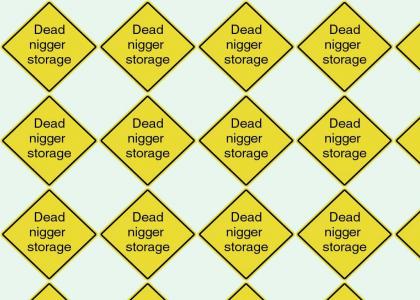 dead nigger storage