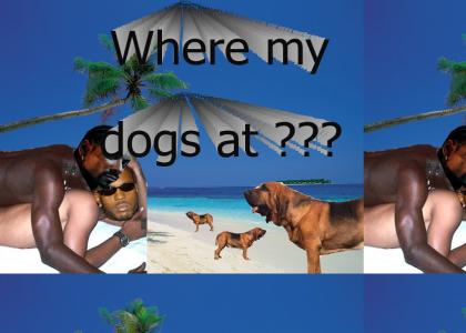 Dogs vacation