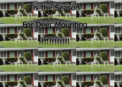 Deer MOUNTING Season!