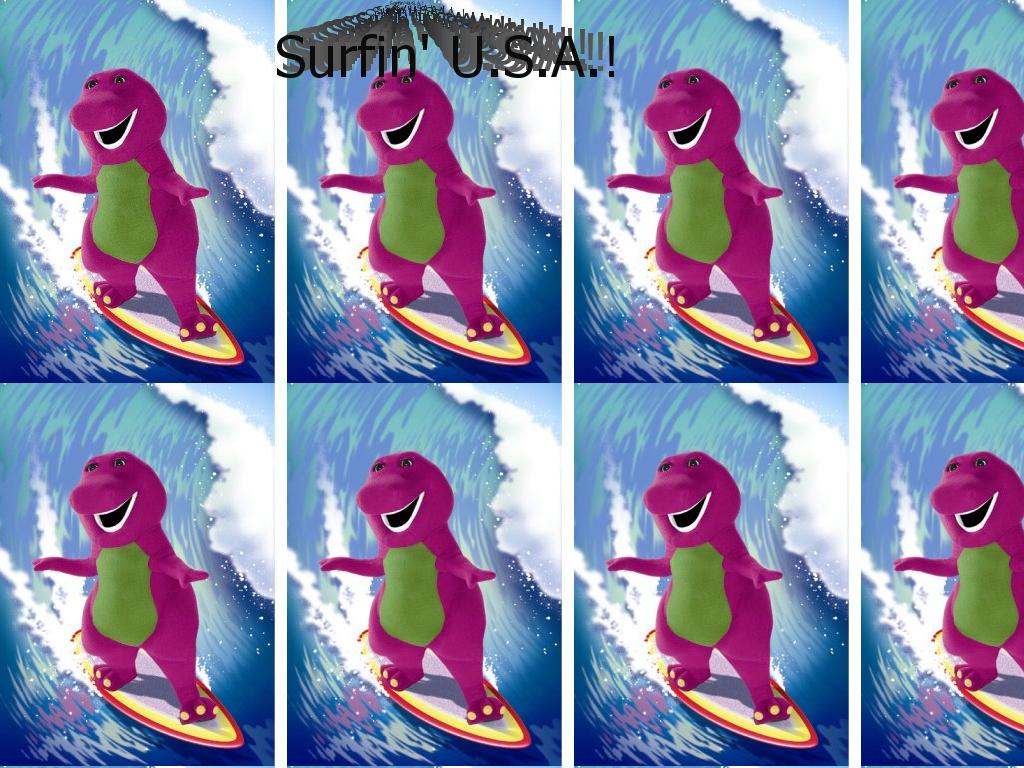 bsurfinusa