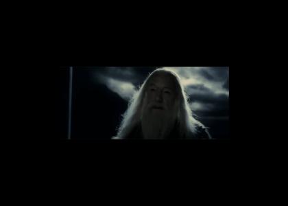 New York Jets kill Dumbledore