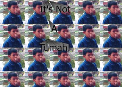 It's Not a Tumah??