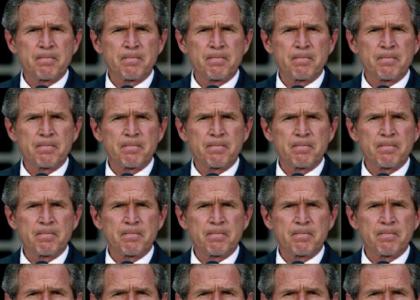 Bush Facial Expressions