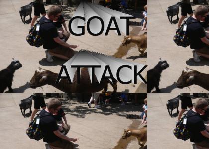 Goat Attack