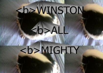 winston all mighty