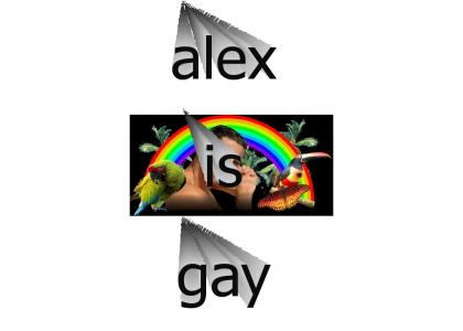 gay?