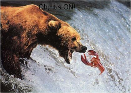 Grizzly vs. Lobster