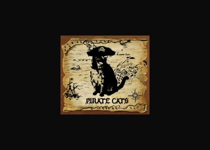 The Pirate Cats