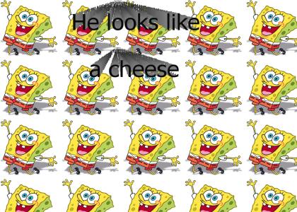 Spongebob looks like a cheese