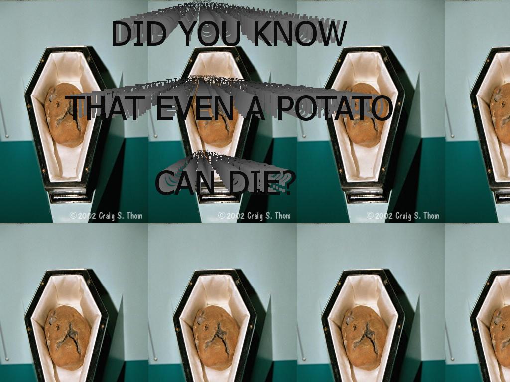 potatocandie