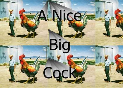 A nice big cock