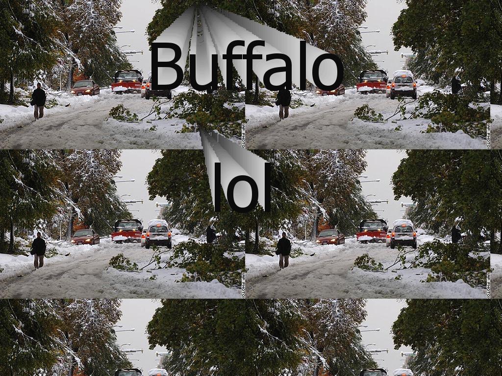 buffalolol