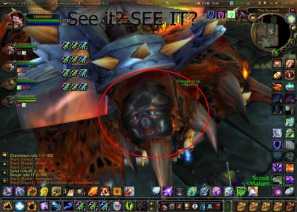 WTF Ninja Turtle in WoW