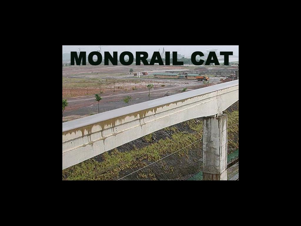 monorailcat