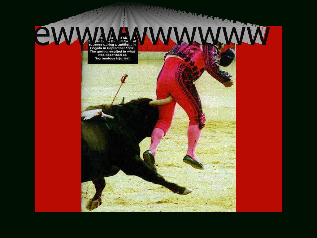 bull-matador