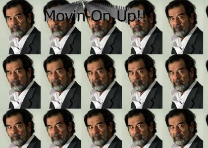 Saddam's Movin On Up!!
