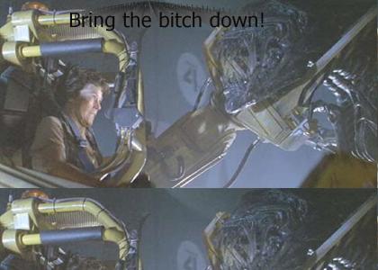 Bring the bitch down!!!