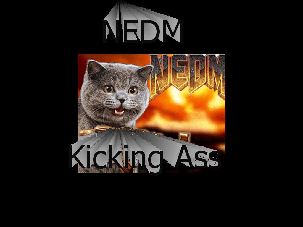 NEDMKICKINGASS