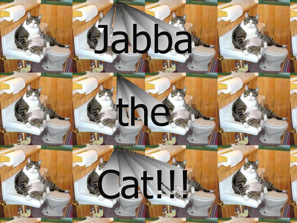 jabbathecat