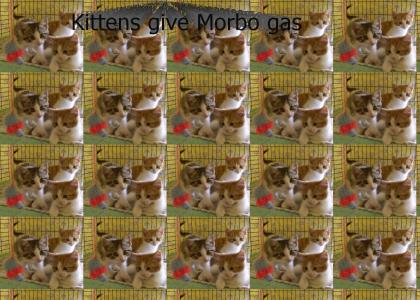Kittens give Morbo gas
