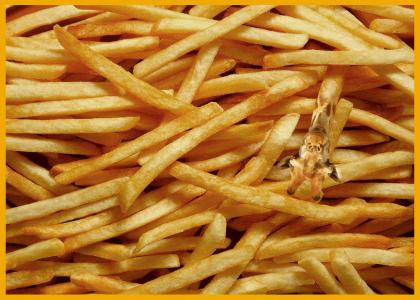 Foodtmnd: French Fries