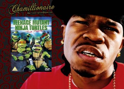 The Fifth Teenage Mutant Ninja Turtle is Found!