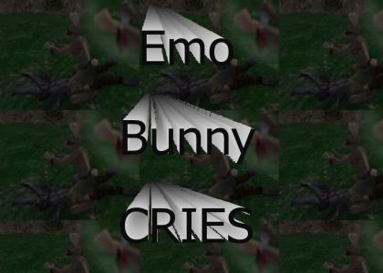 Emo Bunny