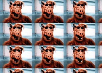 A site to appeal to ALF fans