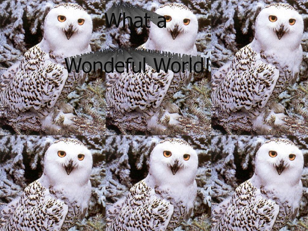 whatawonderfulworld