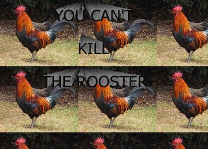 You can't kill the rooster